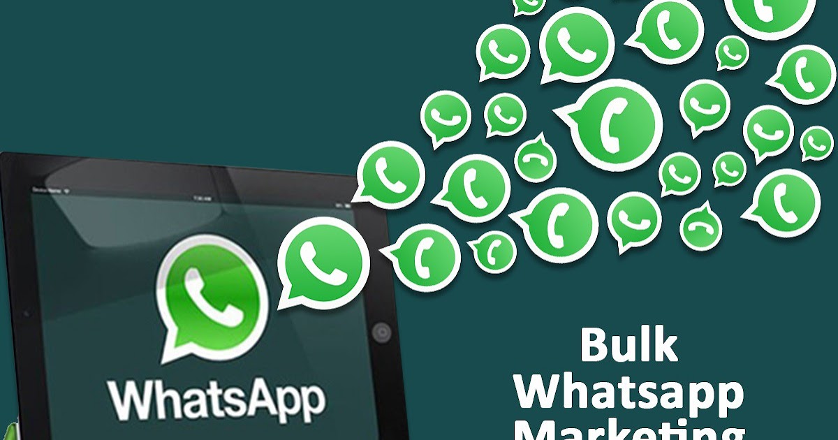 WhatsApp untuk Peluang Karier Anda: Mempromosikan Diri melalui Aplikasi